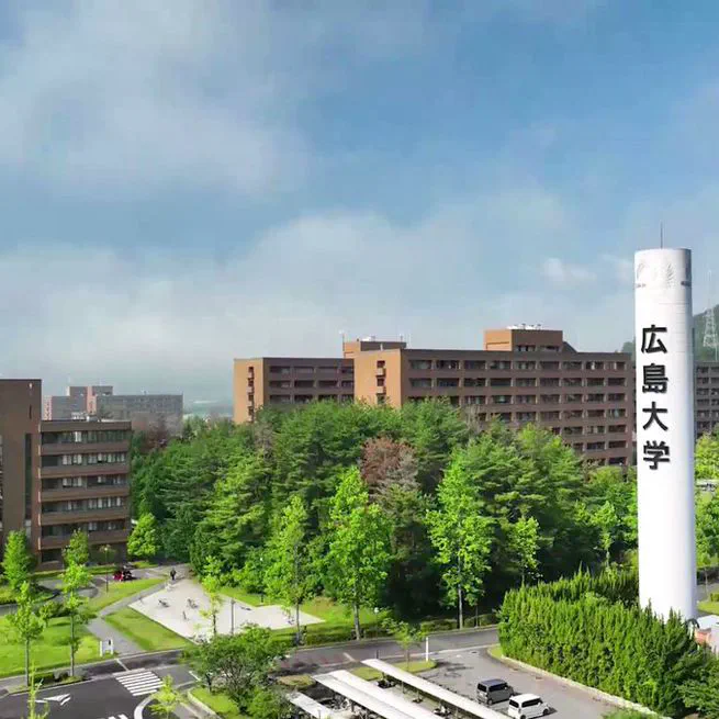 Public Administration and Management