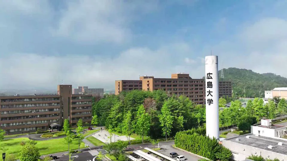 Public Administration and Management